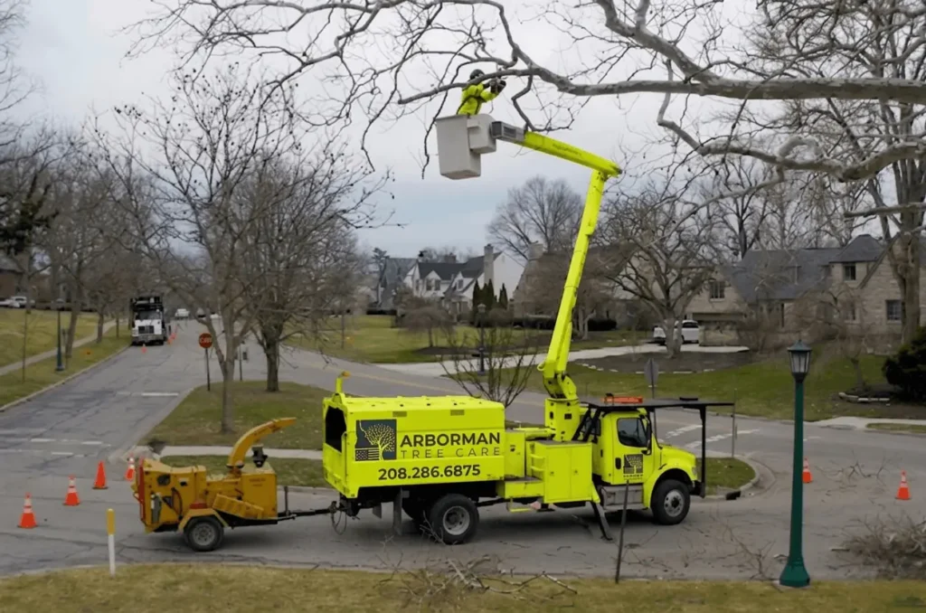Arborman Tree Care arborist in a bucket truck deadwooding a tree in Boise, ID.