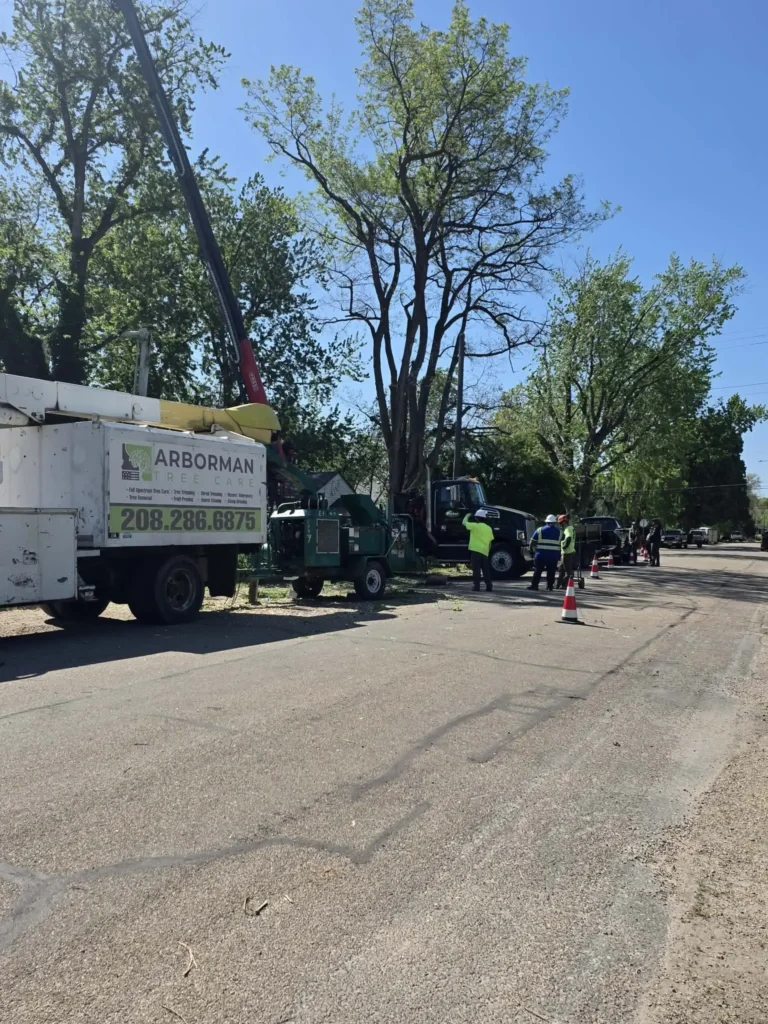 Arborman Tree Care crew using a crane for storm damage tree repair in Boise, ID