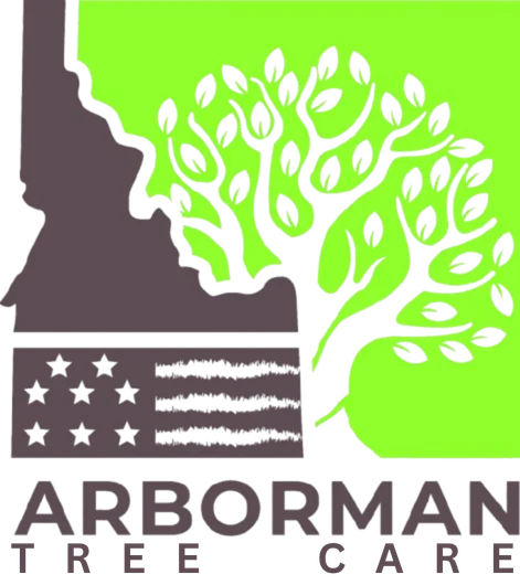 Tree Service Boise, ID | Certified Arborist | Arborman Tree Care